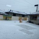 만복엄나무집 | [내돈내산 문경/점촌 맛집] 추천 인생맛집 또또또또간집 I 정성이 느껴지는 '송내촌산나물밥' 상세후기