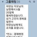 오라돈돈 이미지