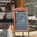 브레드영 이미지