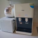 스파벨리스 이미지