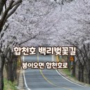 봉산면001 티스토리