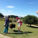 새힘농장 이미지