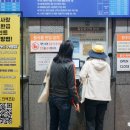 울진소나무 | 울진 왕피천 케이블카 요금 크리스탈캐빈 후기 가볼만한곳