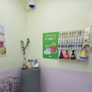 석촌유치원 | 석촌고분역 [제이델링 송파점] 생화 레터링 주문제작 케이크