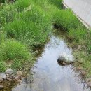 이원선사무소 이미지