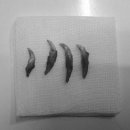 아마존동물병원 이미지