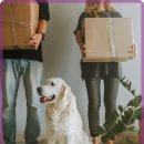 미소 동물병원 이미지