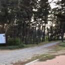 삼봉콘도민박 이미지