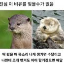 해달