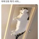 아무고토 이미지