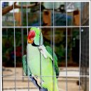 경주버드파크 이미지