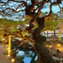 요석궁식당 이미지