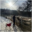 앵두목장 이미지