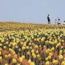 [일원1] 생활 여행영어 이미지