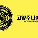 ⚽️고양주니어FC 선수모집⚽️🏆차범근 대상 배출🏆 이미지