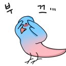 베니키아 호텔 산과바다 대포항 이미지