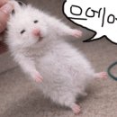 무드메이커 메이크업