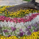 매니아당구세상 이미지