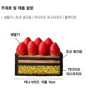 투썸플레이스의정부 | | 두초생 - 투썸플레이스 | 미니 사이즈 맛있는 케이크 - 내돈내산