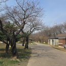 도매시장로 4 이미지