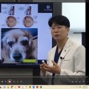 에스벳 동물병원 이미지