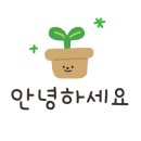 씨아트