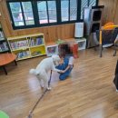 주천초등학교 이미지