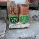 구공탄 이미지