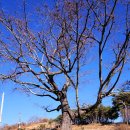 두량3리 이미지