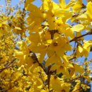 신나는 통기타 교실 이미지