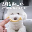 스마일 | 강아지덴탈껌, 눈&amp;관절 테일스마일 스마일츄 후기