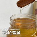 전주 김제 꿀파는곳 구성산벌꿀 아카시아햇꿀 후기 (전국 택배 가능)