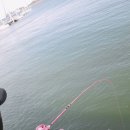 삼길포항 어촌마리나역 이미지