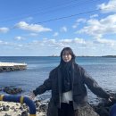 제주 트윈즈 | 제주 우도여행 | 우도 가볼만한곳 추천 우도카페 땅콩아이스크림