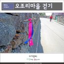 오조리 이미지