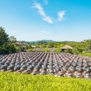 인문학과 함께하는 역사이야기 이미지