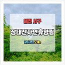 장태산휴양림 | 대전에서 만나는 숲길 힐링 산책 장태산자연휴양림 완전 정리