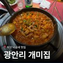 개미집 | [부산 광안리]낙곱새 원조 부산 개미집 내돈내산 솔직후기