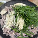 사랑오리농장 이미지