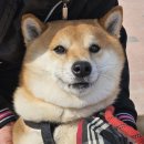 덕산통A뒤 - 우 | 대기환경측정분석사 실기, 1트 합격 22회 후기 및 분석사 시험 꿀팁 (1) (접수, 유기편)