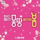 봄 안경 콘텍트 이미지