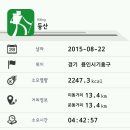 물푸레건강