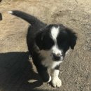 입남 | 2025년 11월 첫째주 일기.