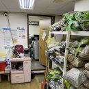 신도한의원 이미지