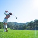 TOP실내골프 이미지