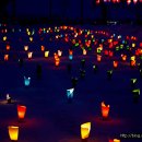 새바라기 이미지