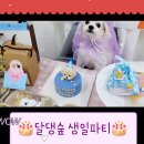 달려봐요댕댕이숲