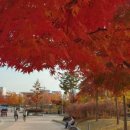 Busking-꿈을 이미지