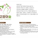 고양이숲 이미지