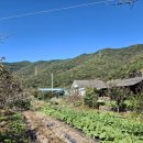 경남고성토지매매....회화면 마을안 자그마한 계획관리지역 농지 340m² 매매 몽땅 2천만원 이미지